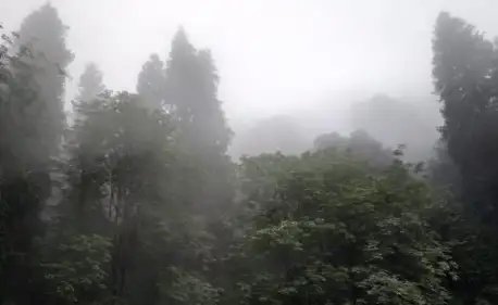 दिल्ली-एनसीआर में कोहरा बढ़ा, जानें कैसा रहेगा राज्यों का मौसम?