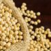 15 जनवरी तक होगी सोयाबीन पर MSP खरीद, पढ़ें पूरी खबर…