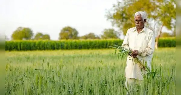 किसानों के लिए हरियाणा सरकार का बड़ा ऐलान, खाते में ट्रासंफर होंगे 87 लाख रुपये