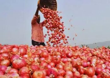 महाराष्ट्र में प्याज किसानों की बदहाली: भारी बारिश से फसलें तबाह, मोगा ने सरकार से मांगी आर्थिक मदद