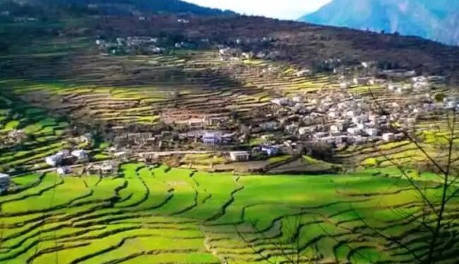 उत्तराखंड में भू- कानून को लेकर बड़े बदलाव, 11 जिलों में कृषि भूमि खरीदने पर लगी रोक