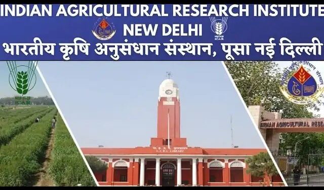 पूसा ने जारी की एडवाइजरी, इस हफ्ते ग्वार, मक्का और बाजरा की बुवाई करें किसान