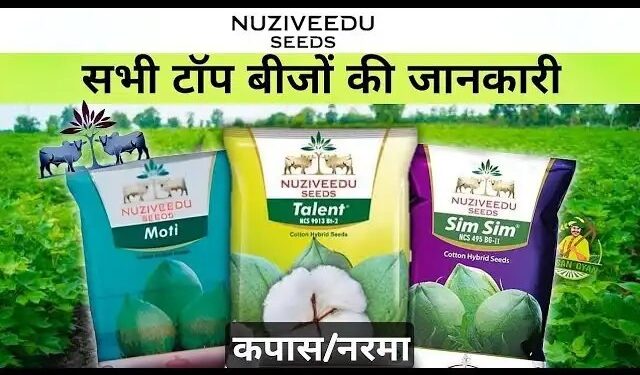 बाजार में आया Nuziveedu Seeds का नया बीज, जानें क्या है खूबियां