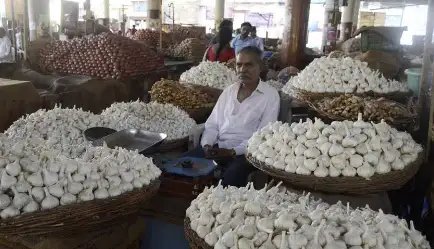 बाजार में 500 रुपये पहुंचा लहसुन का दाम, जानें क्या है वजह?