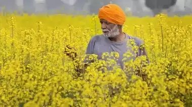 जानें क्या है UP AGREES योजना, 10 लाख किसानों को मिलेगा सीधा फायदा