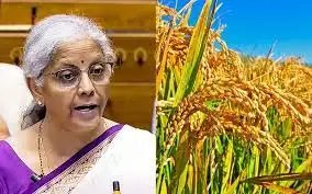केंद्रीय बजट 2024: कृषि और संबद्ध क्षेत्रों को 1.52 लाख करोड़ रुपये का आवंटन