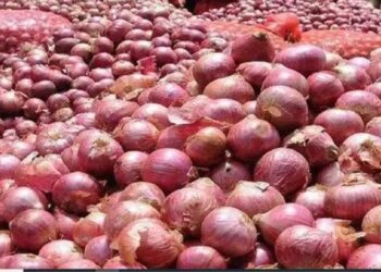 बिहार में प्याज भंडारण पर 75% सब्सिडी, 22 जिलों के किसानों को मिलेगा फायदा | जानें आवेदन की प्रक्रिया