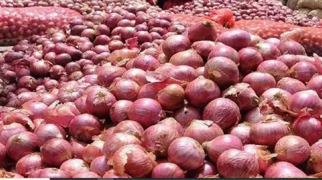 बिहार में प्याज भंडारण पर 75% सब्सिडी, 22 जिलों के किसानों को मिलेगा फायदा | जानें आवेदन की प्रक्रिया