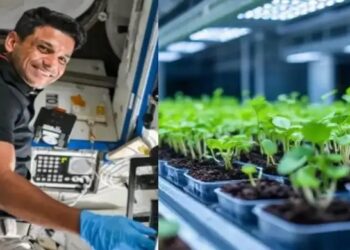 ISS पर भारतीय वैज्ञानिक शुभांशु शुक्ला ने की ‘मेथी-मूंग’ की खेती, स्पेस फार्मिंग में रच रहा इतिहास