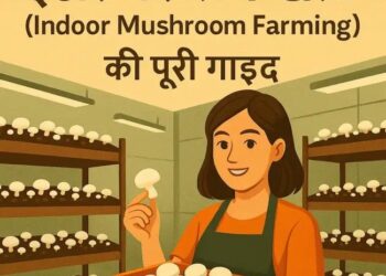 शुरुआती किसानों के लिए इंडोर मशरूम खेती (Indoor Mushroom Farming) की पूरी गाइड