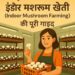 शुरुआती किसानों के लिए इंडोर मशरूम खेती (Indoor Mushroom Farming) की पूरी गाइड