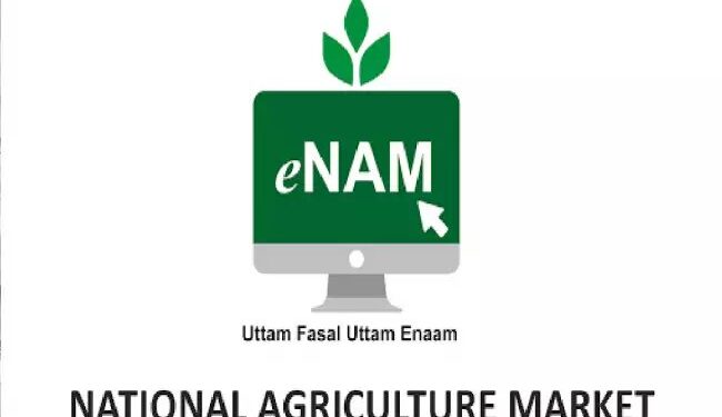 E-नाम से किसानों को मिला फायदा, कृषि मंत्री ने लोकसभा में दी जानकारी
