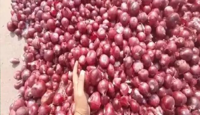 मानसून की बारिश से टमाटर, प्याज और आलू जैसी प्रमुख फसलों को मिलेगा बढ़ावा