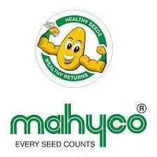 माहिको ने एचटी चावल और गेहूं के लिए अमेरिकी आधारित राइसटेक के साथ संयुक्त उद्यम बनाया