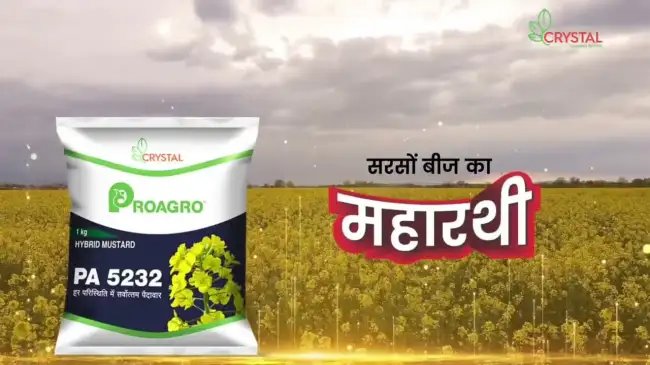 अधिक फसल उत्पादन के लिए लिए लगाए क्रिस्टल क्रॉप प्रोटेक्शन का PROAGRO