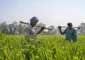 टिकारी में खरीफ महाअभियान: किसानों को दी गई उन्नत खेती की तकनीक की जानकारी