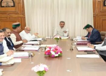 हिमाचल कैबिनेट के बड़े फैसले: किसानों, पशुपालकों और आपदा पीड़ितों के लिए मुआवजे में भारी बढ़ोतरी