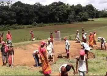 मनरेगा  ग्रामीण बेरोजगारी के खिलाफ बन रहा है सशक्त हथियार