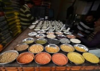 मूंग और उड़द खरीद को मिली मंजूरी: MP-UP के किसानों को मिलेगा MSP पर लाभ, केंद्र उठाएगा बड़ा वित्तीय बोझ