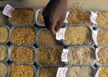 आयात में वृद्धि, रिकॉर्ड सरकारी खरीद से बाजार कीमतें एमएसपी से नीचे आईं