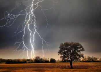 बिहार: बीते 24 घंटे में बिजली गिरने से 21 की मौत, पीड़ितों को मिलेगा4-4 लाख का मुआवजा