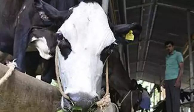 कैबिनेट ने पशुपालन अवसंरचना विकास कोष के विस्तार को मंजूरी दी