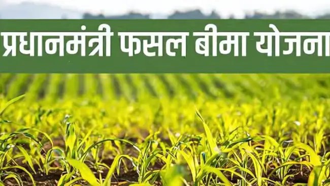 इन 6 राज्यों में बढ़ी फसल बीमा योजना की तारीख, किसान इन तरीकों से कराएं रजिस्ट्रेशन