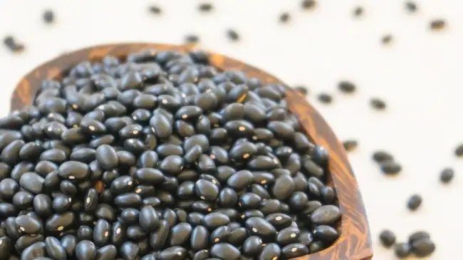 उड़द की 2 नई किस्मों से किसानों की उपज में 22 फीसदी होगी बढ़ोतरी, आय में भी होगा इजाफा