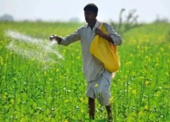 उत्तर प्रदेश में खरीफ सीजन के लिए 37 लाख मीट्रिक टन यूरिया स्टॉक, कृषि मंत्री बोले- खाद की कोई कमी नहीं