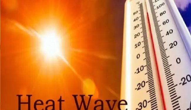 अत्यधिक गर्मी के चलते IARI ने किसानों के लिए ज़ारी की एडवाइजरी.