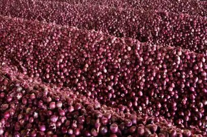 सरकार ने प्याज की मोबाइल वैन से शुरू की बिक्री, 38 जगाहों पर 35 रुपये कीमत