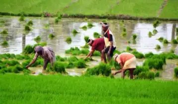 इस राज्य में बना देश का पहला ‘सोलर गांव’, अब बिजली का बिल होगा जीरो