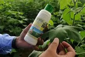 भारत के रबी सीजन में नैनो यूरिया की मांग बढ़ रही