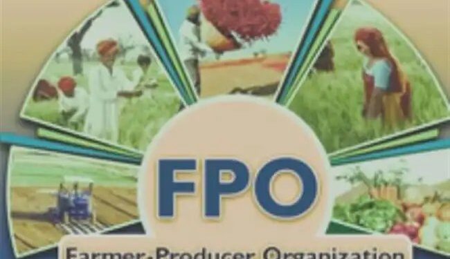 किसानों की आमदनी बढ़ाने की दिशा में बड़ा कदम, 10000 किसान उत्पादक संगठनों का गठन किया गया