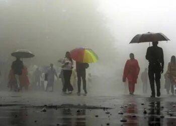 मध्य जून तक मानसून फिर सक्रिय हो जाएगा, पूर्वी और मध्य भारत में तेजी से आगे बढ़ेगा