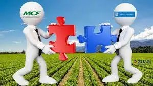 भारतीय प्रतिस्पर्धा आयोग ने एमसीएफएल के पीपीएल के साथ विलय को मंजूरी दी