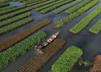 प्राकृतिक खेती की ओर बढ़ा देश: 1 करोड़ किसानों को जोड़ने का लक्ष्य, 14,500 क्लस्टर में तेजी से हो रहा काम