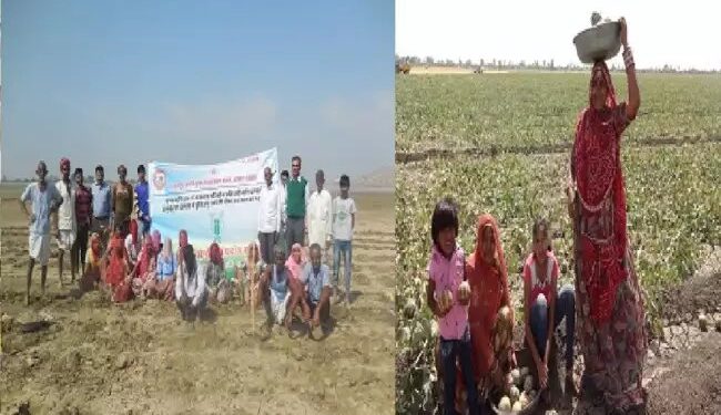 जमीनी स्तर की रचनात्मक एवं संस्थागत ज्ञान से किसानों की आजीविका में हो रहा है सुधार