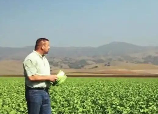 इन दो फसलों पर बिहार सरकार दे रही बंपर सब्सिडी, किसानों को होगा मुनाफा!