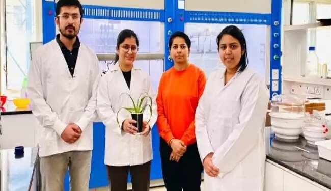 आईआईटी मंडी के शोधकर्ताओं ने टिकाऊ कृषि के लिए माइक्रोजेल विकसित किया