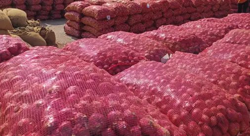 निर्यात शुल्क देरी से हटाने पर किसानों को भारी नुकसान, अब किसान संगठन कर रह विरोध प्रदर्शन की तैयारी!