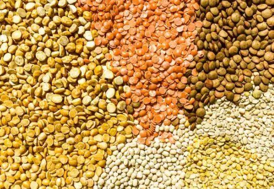 देश बनेगा दलहन फसलों में आत्मनिर्भर, बजट पेश करते हुए केंद्रीय वित्त मंत्री ने कही ये बात, जानें क्या हैं मंडी भाव?