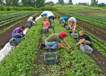 किसानों को मिलेगा फायदा, फार्म ID पर सभी जानकारी होगी दर्ज