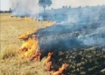 बीकानेर कृषि विश्वविद्यालय ने कम पराली प्रबंधन मशीन के लिए यूके पेटेंट हासिल किया