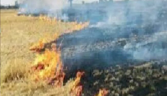 बीकानेर कृषि विश्वविद्यालय ने कम पराली प्रबंधन मशीन के लिए यूके पेटेंट हासिल किया