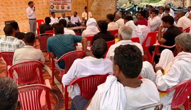 हकृवि द्वारा गुलाबी सुंडी के प्रबंधन हेतु प्रशिक्षण कार्यक्रम आयोजित