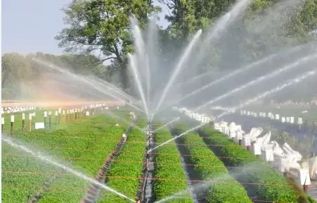 छत्तीसगढ़ के किसानों को बड़ी राहत, 45 साल बाद फिर शुरू होगी यह परियोजना