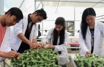 महाराष्ट्र में कृषि यूजी पाठ्यक्रमों में प्रवेश के लिए शेड्यूल जारी, 17 जुलाई तक करें आवेदन